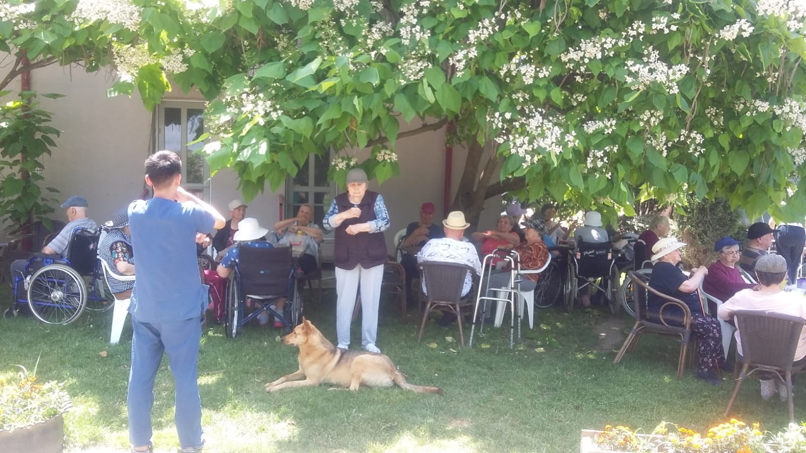 Activități în grădină cu rezidenții