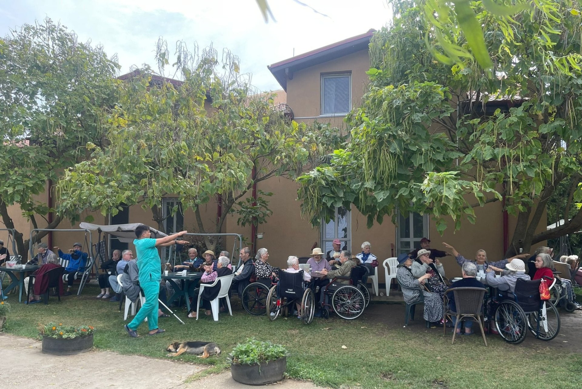 Activități în aer liber la Moșia Bunicilor